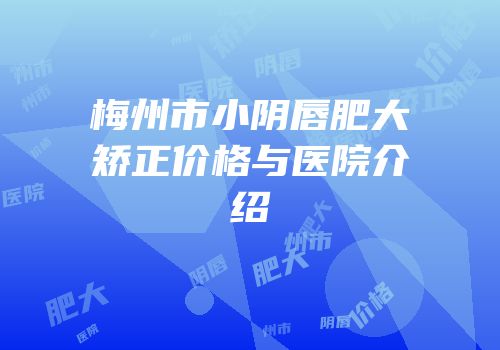 梅州市小阴唇肥大矫正价格与医院介绍