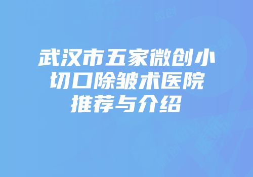 武汉市五家微创小切口除皱术医院推荐与介绍