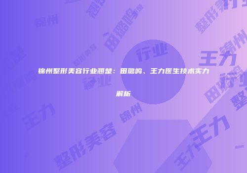 锦州整形美容行业翘楚：田璐鸣、王力医生技术实力解析
