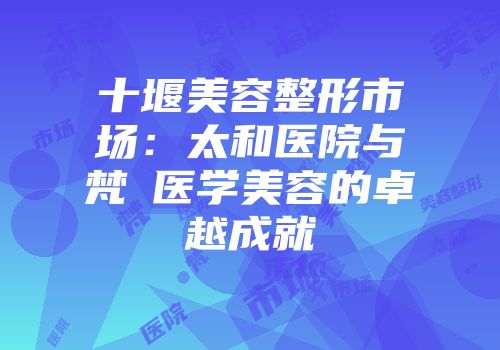 十堰美容整形市场：太和医院与梵媞医学美容的卓越成就
