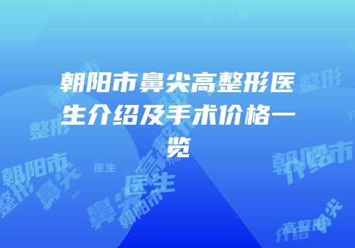 朝阳市鼻尖高整形医生介绍及手术价格一览
