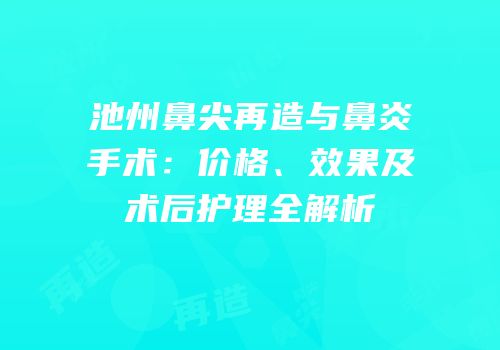 池州鼻尖再造与鼻炎手术：价格、效果及术后护理全解析