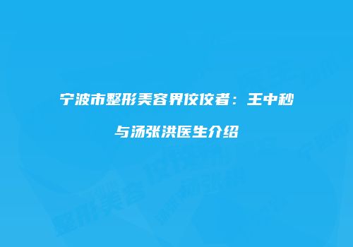 宁波市整形美容界佼佼者：王中秒与汤张洪医生介绍