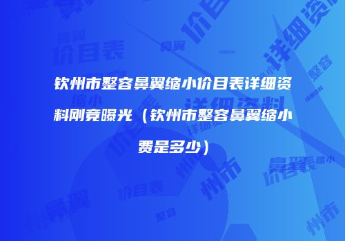 钦州市整容鼻翼缩小价目表详细资料刚竟曝光（钦州市整容鼻翼缩小费是多少）