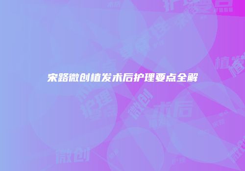 宋路微创植发术后护理要点全解