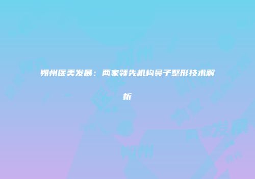 朔州医美发展：两家领先机构鼻子整形技术解析
