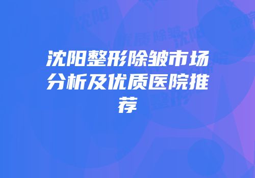 沈阳整形除皱市场分析及优质医院推荐