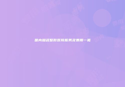 国内知名整形医院服务及费用一览