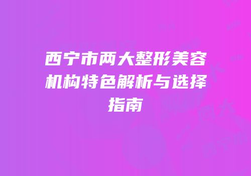 西宁市两大整形美容机构特色解析与选择指南