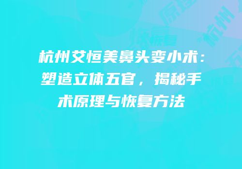 杭州艾恒美鼻头变小术：塑造立体五官，揭秘手术原理与恢复方法