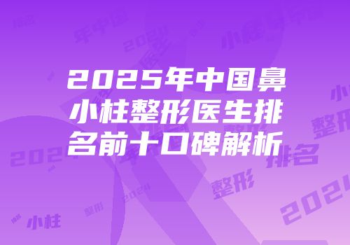 2025年中国鼻小柱整形医生排名前十口碑解析