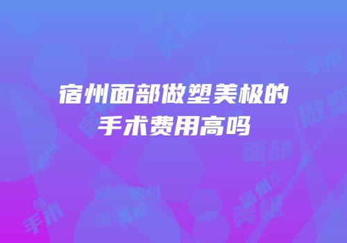 宿州面部做塑美极的手术费用高吗
