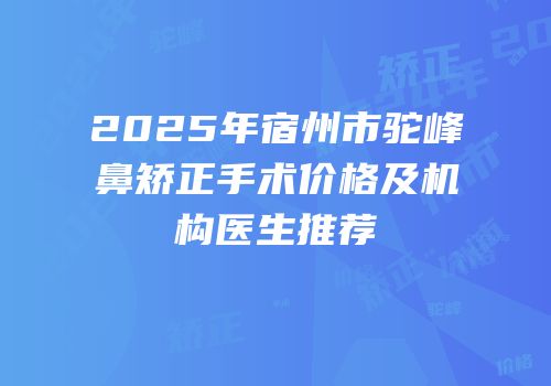2025年宿州市驼峰鼻矫正手术价格及机构医生推荐