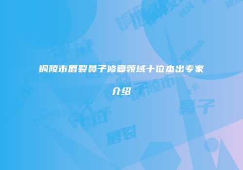 铜陵市唇裂鼻子修复领域十位杰出专家介绍