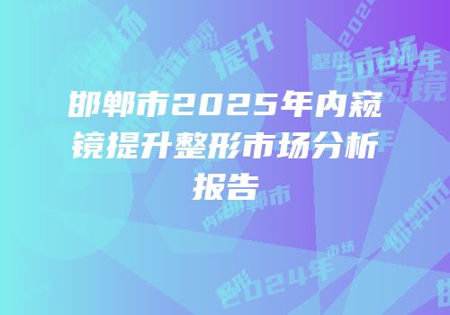 邯郸市2025年内窥镜提升整形市场分析报告