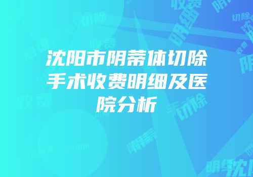 沈阳市阴蒂体切除手术收费明细及医院分析