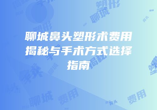 聊城鼻头塑形术费用揭秘与手术方式选择指南