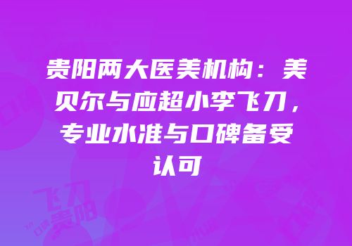 贵阳两大医美机构：美贝尔与应超小李飞刀，专业水准与口碑备受认可