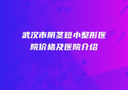 武汉市阴茎短小整形医院价格及医院介绍