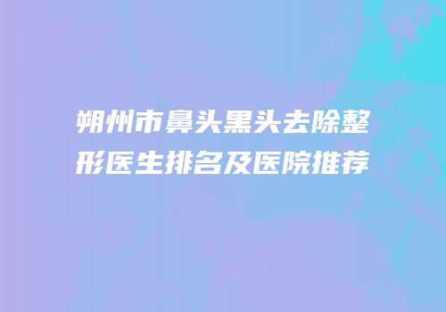 朔州市鼻头黑头去除整形医生排名及医院推荐