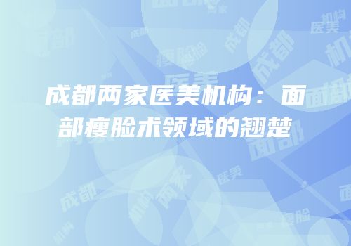 成都两家医美机构：面部瘦脸术领域的翘楚
