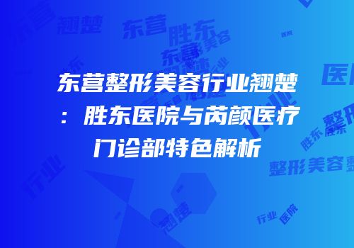 东营整形美容行业翘楚：胜东医院与芮颜医疗门诊部特色解析