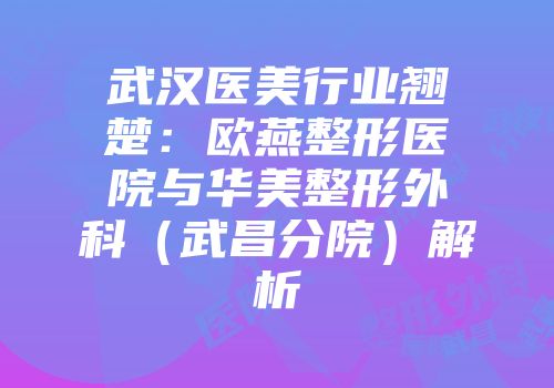 武汉医美行业翘楚：欧燕整形医院与华美整形外科（武昌分院）解析