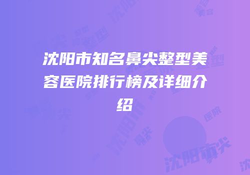 沈阳市知名鼻尖整型美容医院排行榜及详细介绍
