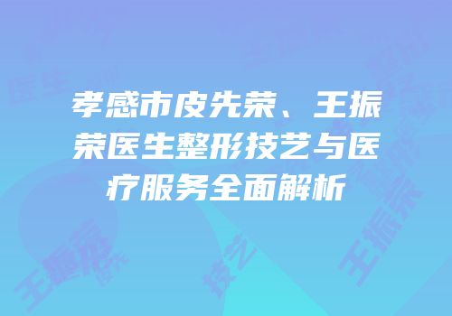 孝感市皮先荣、王振荣医生整形技艺与医疗服务全面解析