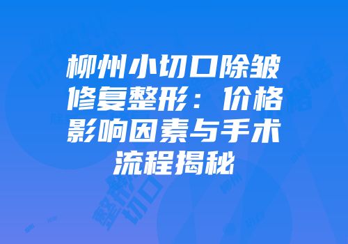 柳州小切口除皱修复整形：价格影响因素与手术流程揭秘
