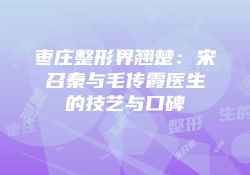 枣庄整形界翘楚：宋召秦与毛传霞医生的技艺与口碑