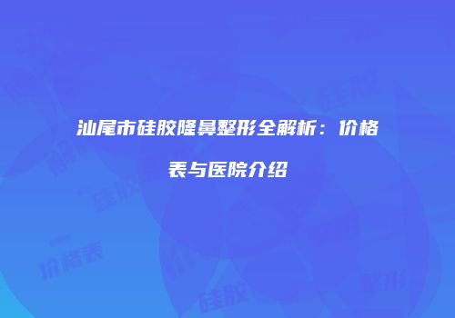 汕尾市硅胶隆鼻整形全解析：价格表与医院介绍