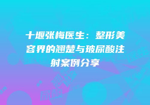 十堰张梅医生：整形美容界的翘楚与玻尿酸注射案例分享