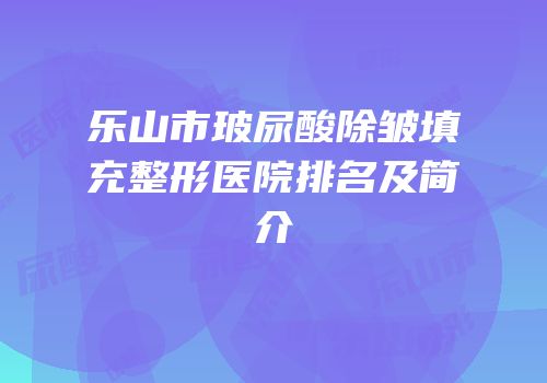 乐山市玻尿酸除皱填充整形医院排名及简介