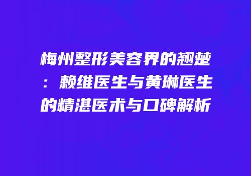 梅州整形美容界的翘楚：赖维医生与黄琳医生的精湛医术与口碑解析