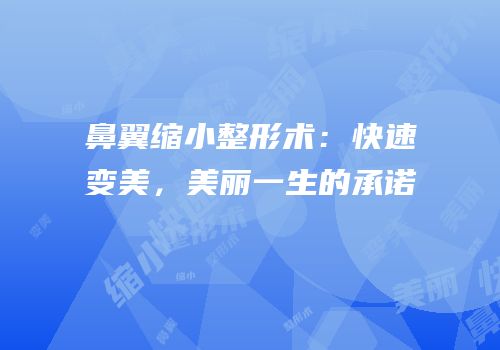 鼻翼缩小整形术：快速变美，美丽一生的承诺