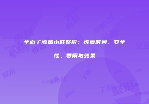 全面了解鼻小柱整形：恢复时间、安全性、费用与效果
