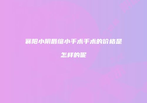 襄阳小阴唇缩小手术手术的价格是怎样的呢