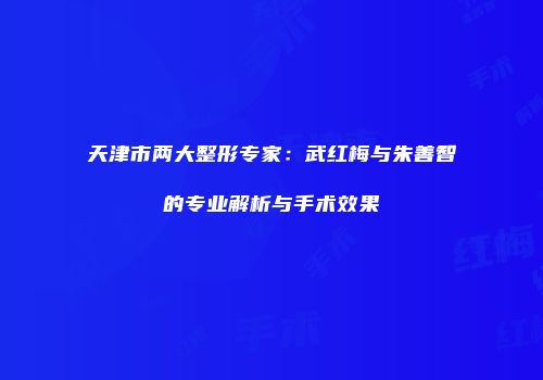 天津市两大整形专家：武红梅与朱善智的专业解析与手术效果