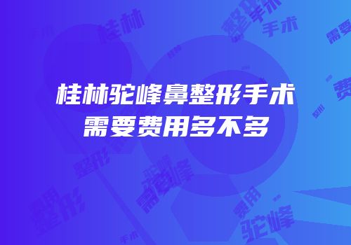 桂林驼峰鼻整形手术需要费用多不多