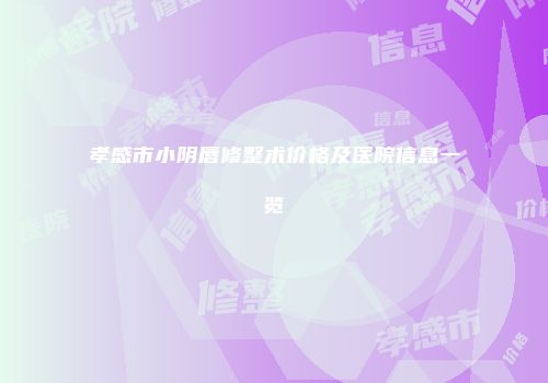 孝感市小阴唇修整术价格及医院信息一览