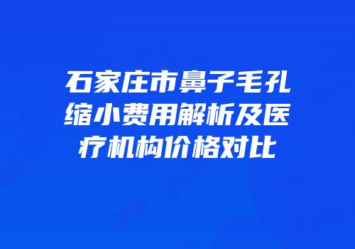 石家庄市鼻子毛孔缩小费用解析及医疗机构价格对比