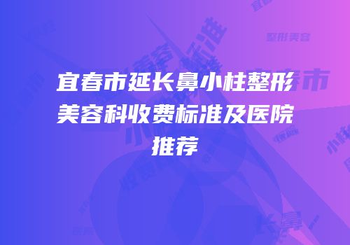 宜春市延长鼻小柱整形美容科收费标准及医院推荐