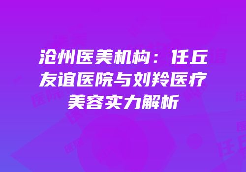 沧州医美机构：任丘友谊医院与刘羚医疗美容实力解析