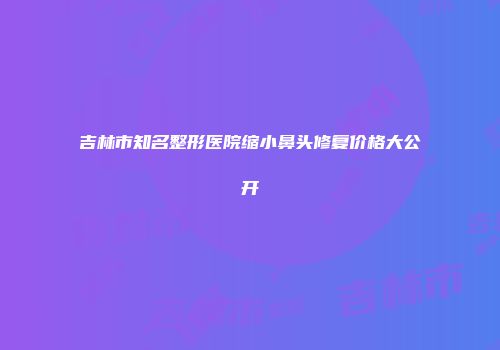 吉林市知名整形医院缩小鼻头修复价格大公开