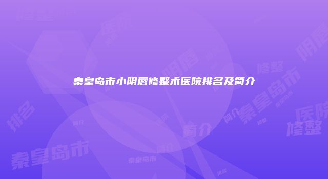 秦皇岛市小阴唇修整术医院排名及简介