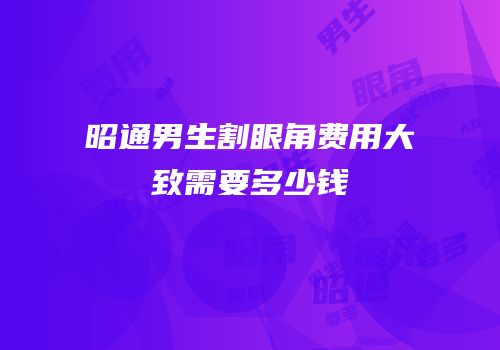 昭通男生割眼角费用大致需要多少钱