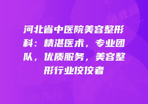 河北省中医院美容整形科：精湛医术，专业团队，优质服务，美容整形行业佼佼者