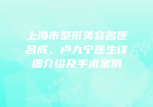 上海市整形美容名医吕成、卢九宁医生详细介绍及手术案例