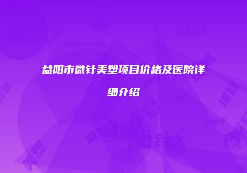 益阳市微针美塑项目价格及医院详细介绍